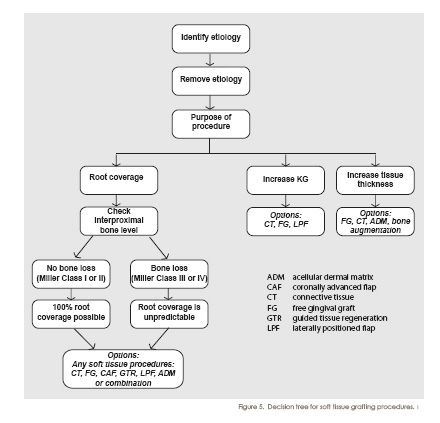 decision tree